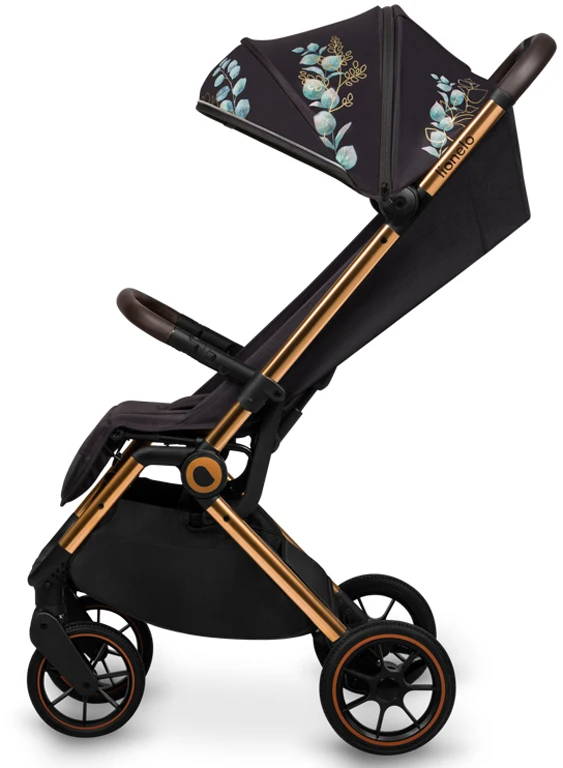 Коляска прогулянкова Lionelo Cloe GOLDEN MOMENTS